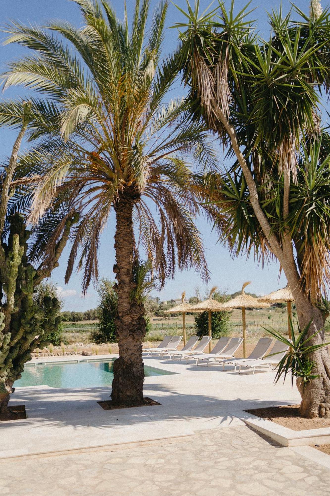 Vino Resort Son Amaret Son Macia  Exterior photo